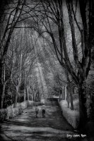 /album/fotogaleria-fotos-b-n/f-2-2-640x480-jpg/